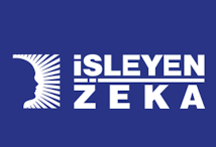 İşleyen Zeka Yayınları